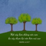 Ý nghĩa câu tục ngữ 'một cây làm chẳng nên non, ba cây chụm lại nên hòn núi cao' trong công việc nhóm
