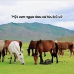 Một con ngựa đau cả tàu bỏ cỏ, thể hiện sự sẻ chia và đùm bọc lẫn nhau