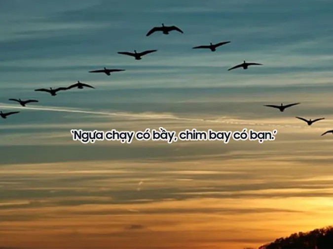 Những câu ca dao tục ngữ về tinh thần đoàn kết