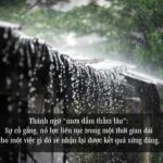 Công việc mưa dầm thấm lâu