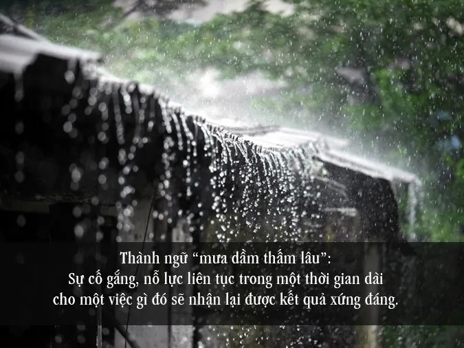 Công việc mưa dầm thấm lâu