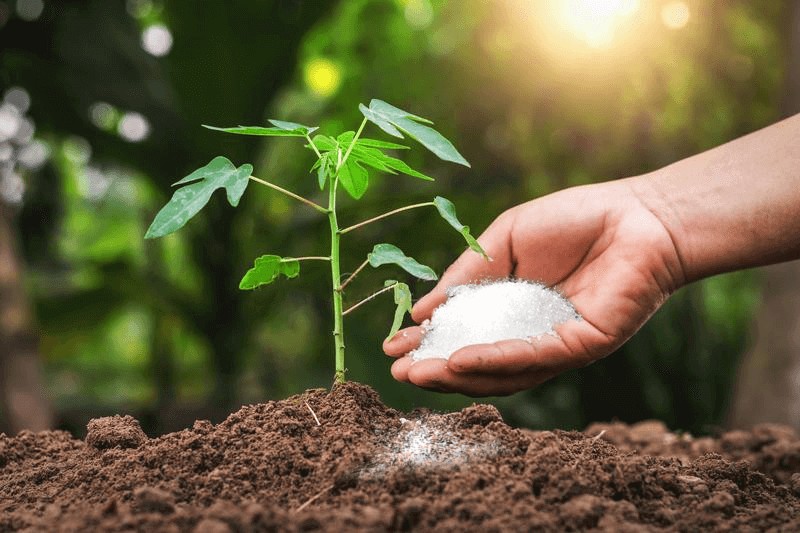 Amoni clorua là phân bón trong nông nghiệp