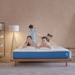 hình ảnh giấc mơ có thể được cải thiện thông qua thiền định