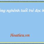 Hướng dẫn đọc hiểu bản nháp hiệu quả