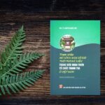 Ngự Sử Đài thời phong kiến