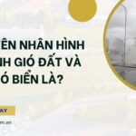 Gió biển mang lại không khí mát mẻ và dễ chịu cho vùng ven biển, tạo điều kiện thuận lợi cho các hoạt động du lịch và nghỉ dưỡng.