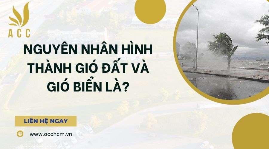 Gió biển mang lại không khí mát mẻ và dễ chịu cho vùng ven biển, tạo điều kiện thuận lợi cho các hoạt động du lịch và nghỉ dưỡng.