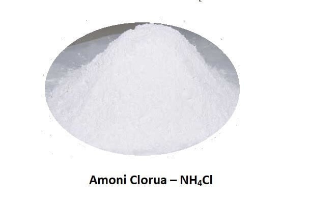 Tinh thể Amoni Clorua (NH4Cl) dưới kính hiển vi