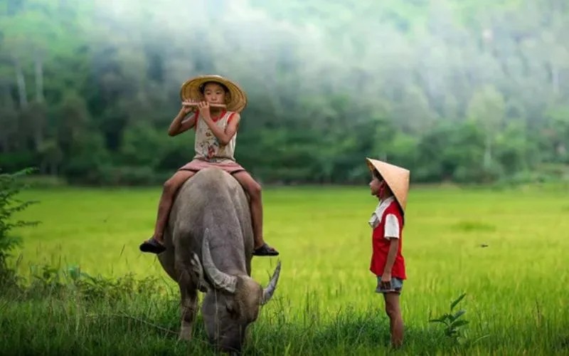 Kỉ niệm tuổi thơ là những kí ức ngọt ngào về gia đình, bạn bè và những trò chơi dân gian