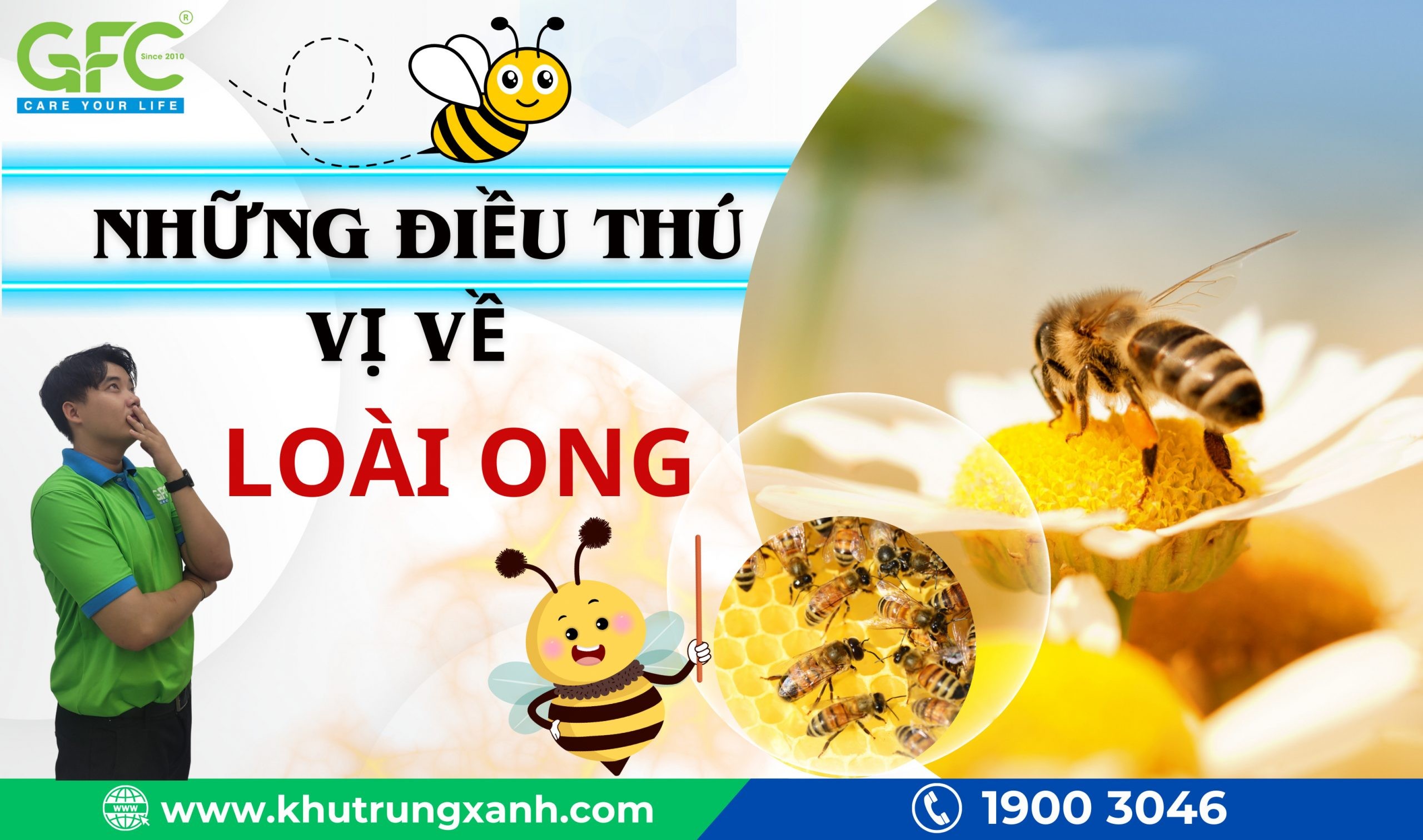 Loài ong - Những điều thú vị về loài ong mà bạn chưa biết
