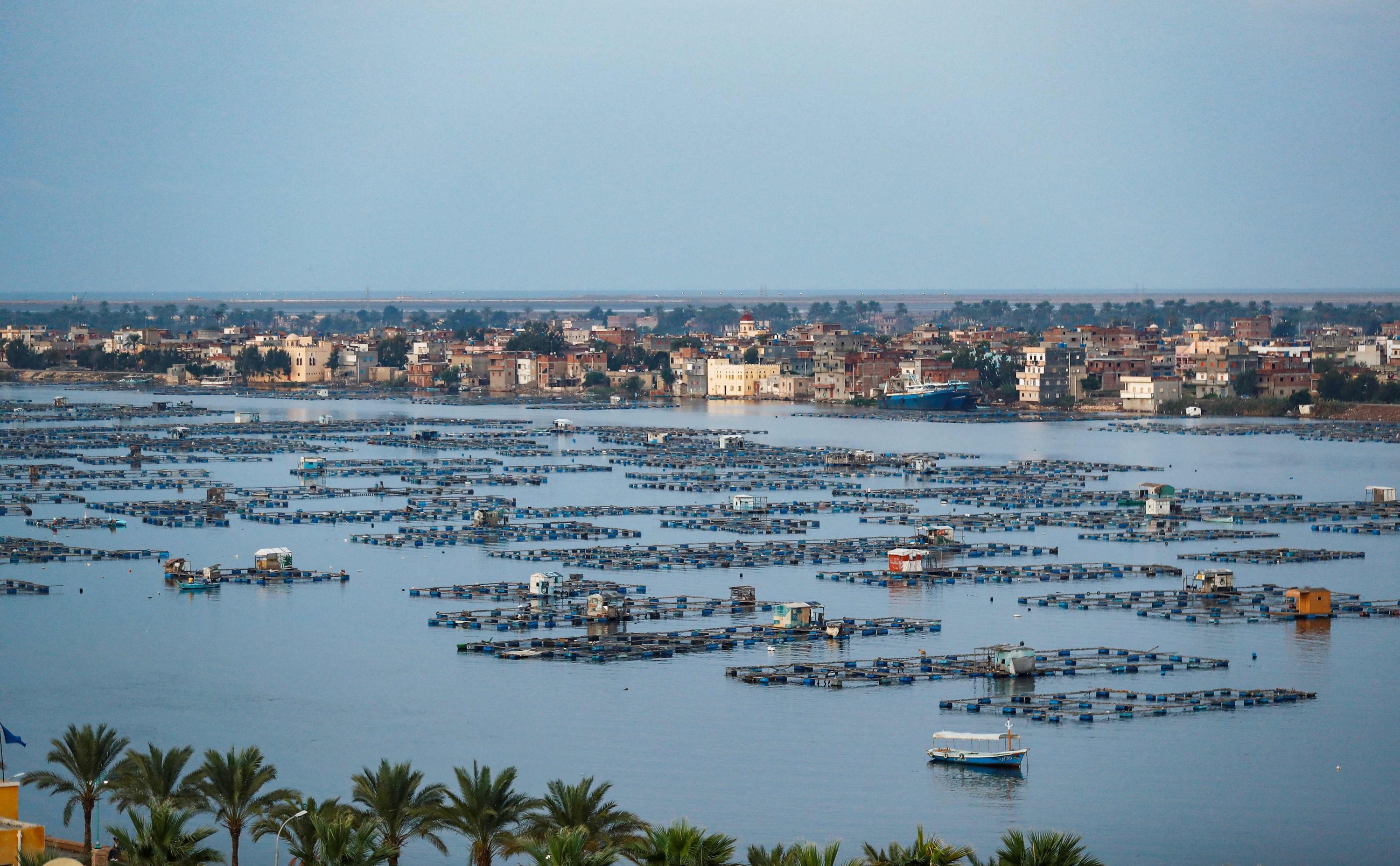 lồng bè nuôi cá trên sông nin tại alexandria, ai cập