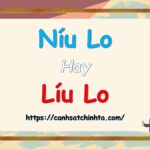 Chim hót líu lo trên cành cây