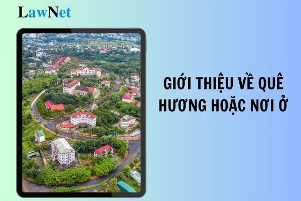 Đánh giá học sinh lớp 2