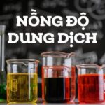 Nồng độ phần trăm cho biết số gam chất tan trong 100 gam dung dịch