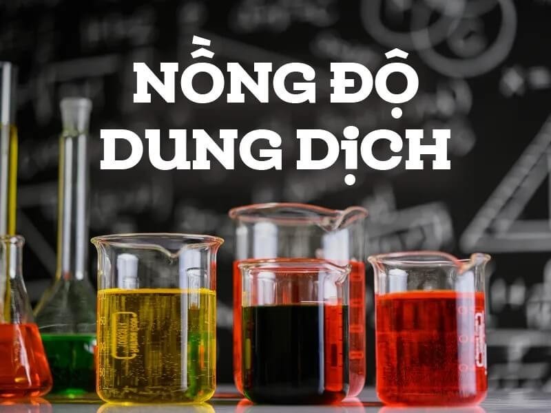 Nồng độ phần trăm cho biết số gam chất tan trong 100 gam dung dịch