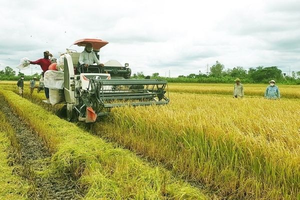 Mô hình nông nghiệp xanh