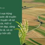 Nữ Thần Lúa trong tâm thức người Việt