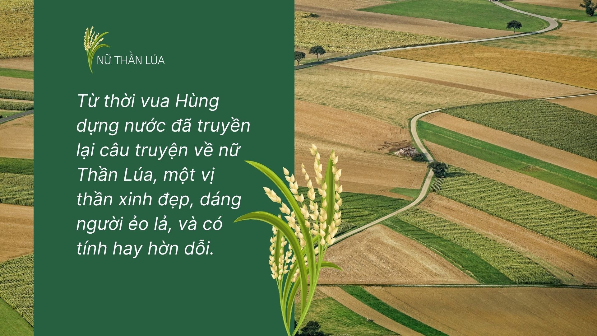 Nữ Thần Lúa trong tâm thức người Việt