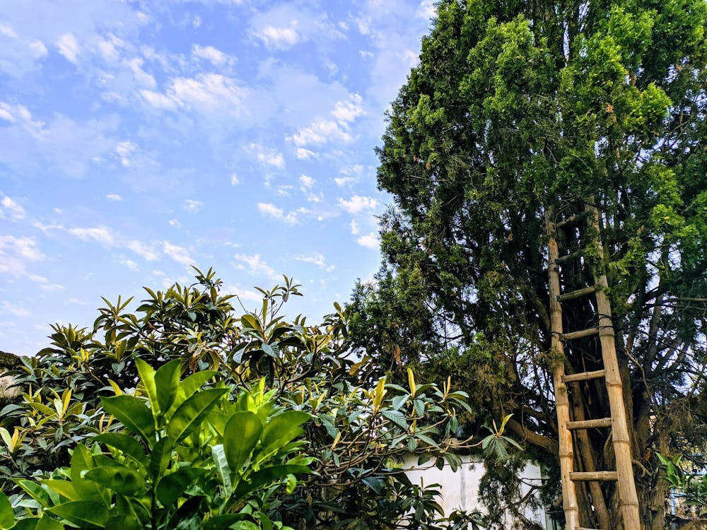 Người đang thiền định, tượng trưng cho chánh niệm