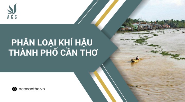 Xe tải hoạt động dưới trời nắng nóng