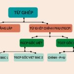 Ví dụ về từ ghép đẳng lập trong tiếng Việt
