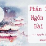 Dấu người đi là đá mòn đường hoa vướng vất trúc luồn