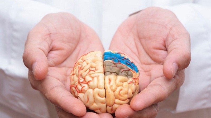 Phản xạ không điều kiện là gì? Ứng dụng trong y học