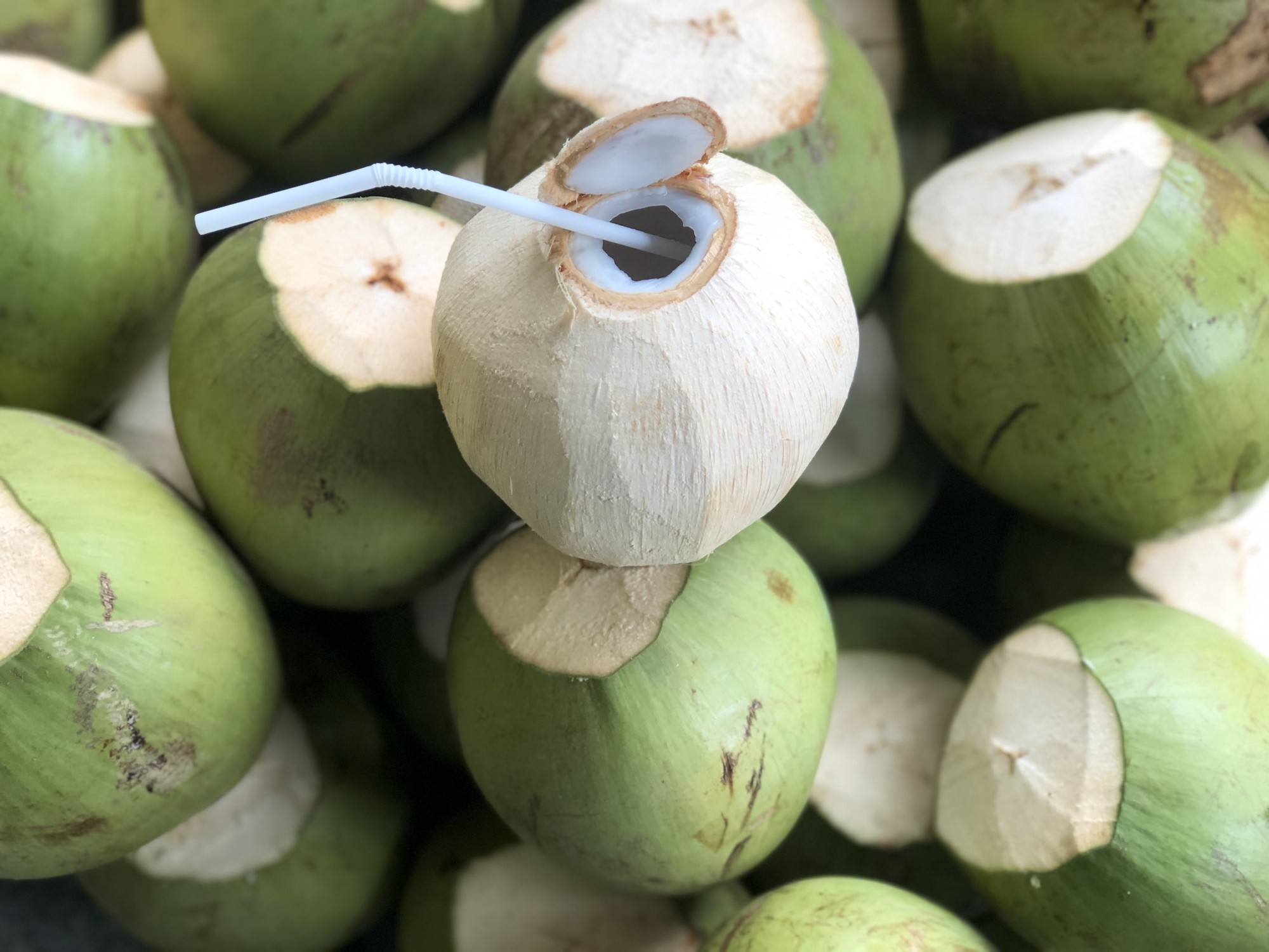 Quả dừa tươi ngon, một loại trái cây quen thuộc và bổ dưỡng