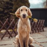 Hình ảnh một người đang suy nghĩ và lắng nghe