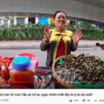 Cô Móm chia sẻ lý do quay trở lại bán ốc luộc trong một đoạn video