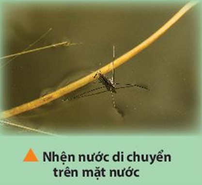 Đèn neon quảng cáo