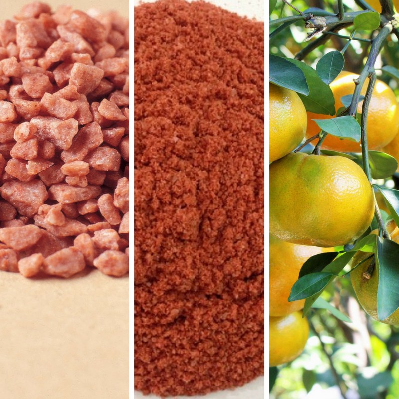 Ứng dụng phân bón potassium giúp cây trồng phát triển tốt, tăng năng suất và chất lượng nông sản