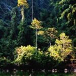 Khu dự trữ sinh quyển Pù Mát