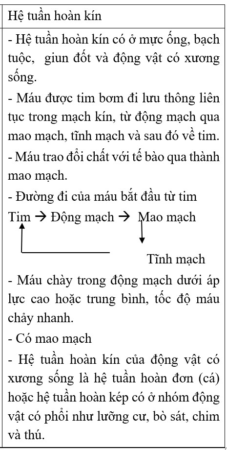 Hoạt động của tim