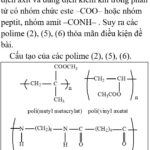 Phản ứng thủy phân polime