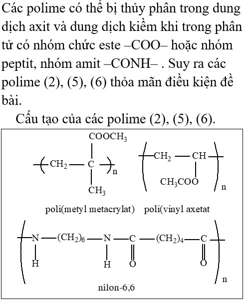 Phản ứng thủy phân polime
