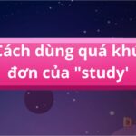 Hình ảnh một người đang ngồi học bài bên bàn, đèn bàn chiếu sáng, sách vở và tài liệu bày biện xung quanh, thể hiện sự tập trung và quá trình học tập