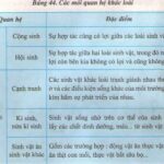 Địa y là một ví dụ điển hình về quan hệ cộng sinh, trong đó nấm và tảo cùng nhau tồn tại và hỗ trợ lẫn nhau.