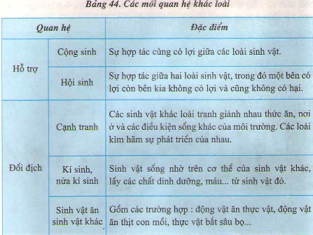 Địa y là một ví dụ điển hình về quan hệ cộng sinh, trong đó nấm và tảo cùng nhau tồn tại và hỗ trợ lẫn nhau.