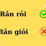 So sánh cách viết đúng và sai giữa rắn giỏi và rắn rỏi