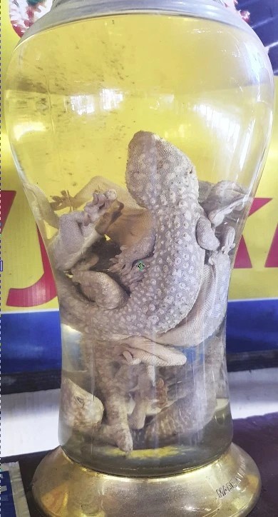 chai xá xị xưa
