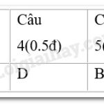 Dì Hảo khóc nức nở, thể hiện sự đau khổ và bất lực trước số phận