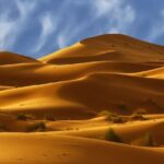 Cồn cát đặc trưng của sa mạc Sahara rộng lớn