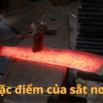 Đặc điểm cấu tạo của sắt non