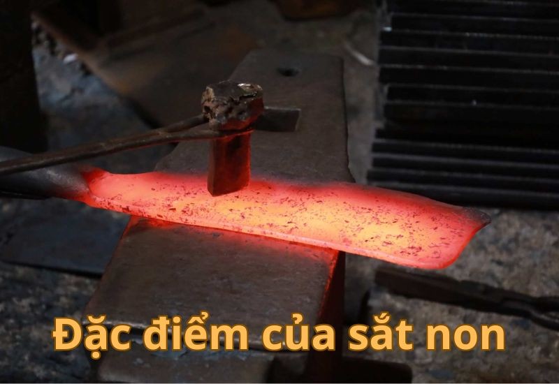 Đặc điểm cấu tạo của sắt non
