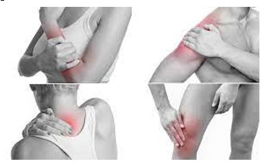 Axit Lactic và Mỏi Cơ