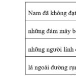 Bài tập trạng ngữ lớp 4