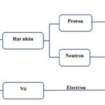 Hạt nhân nguyên tử chứa proton và neutron