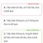 Các bước xử lý thông tin