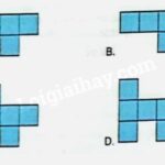 Hình ảnh minh họa các hình khối